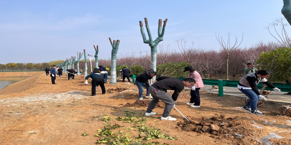 黨建引領(lǐng)共植綠 凝心聚力譜新篇 ——和合生態(tài)、德嘉置業(yè)黨支部赴小廟基地義務(wù)植樹